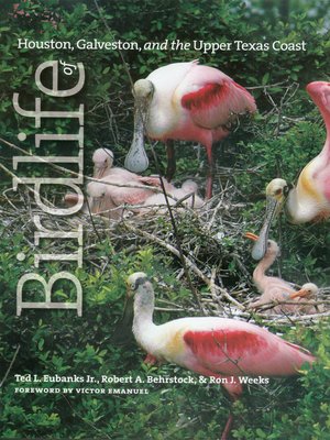cover image of Birdlife of Houston, Galveston, and the Upper Texas Coast